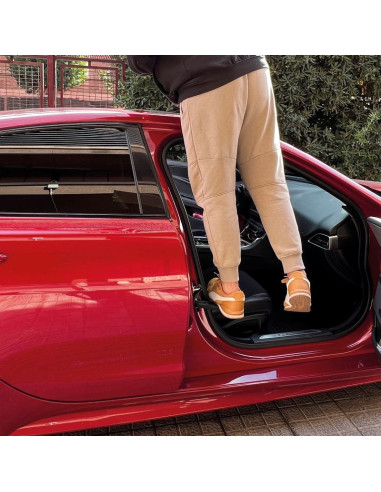 ESCALÓN DE PUERTA DE COCHE