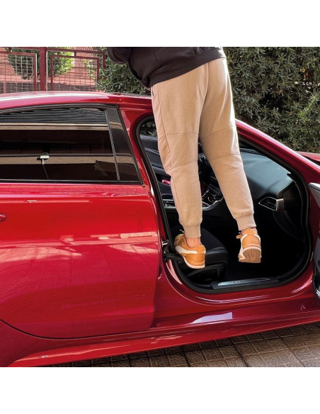 ESCALÓN DE PUERTA DE COCHE
