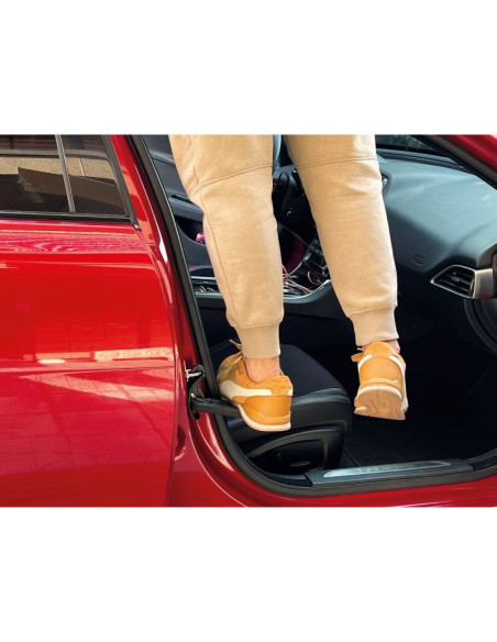 ESCALÓN DE PUERTA DE COCHE