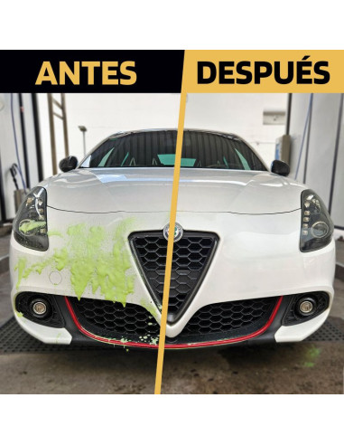 LIMPIA-INSECTOS