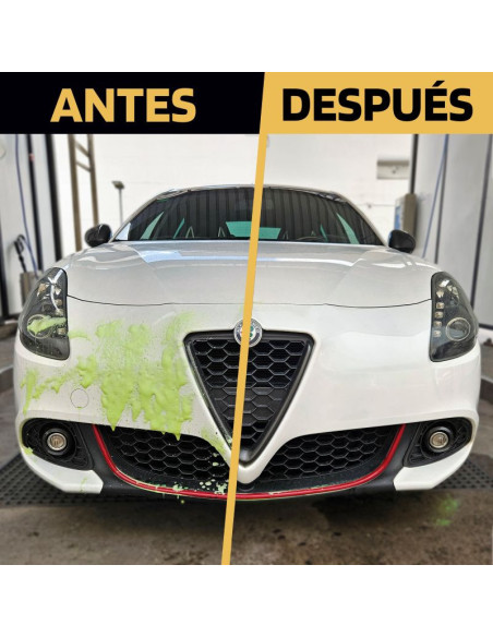 LIMPIA-INSECTOS